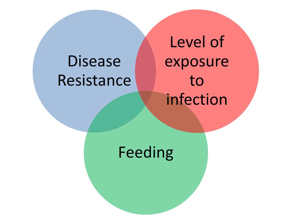 Calf Diarrhea Chart