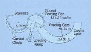 Cattle chute