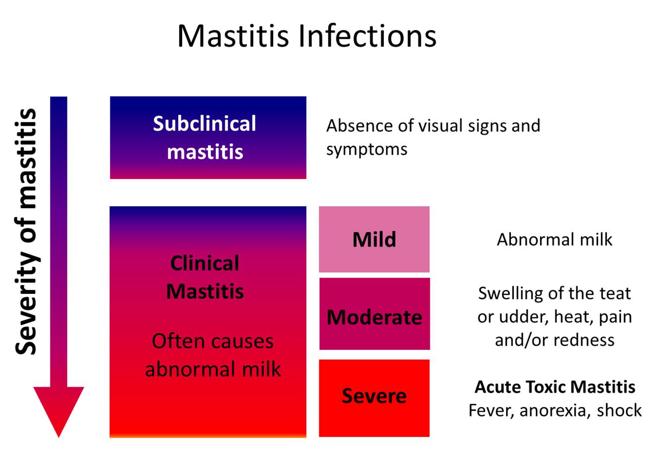 Mastitis Remedies You Probably Haven't Heard Of — Beyond Birth Collective