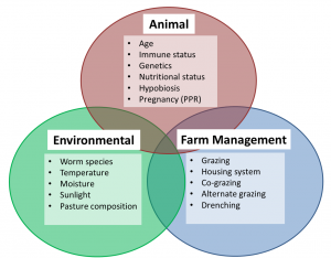 Factors which affect parasite infection in livestock