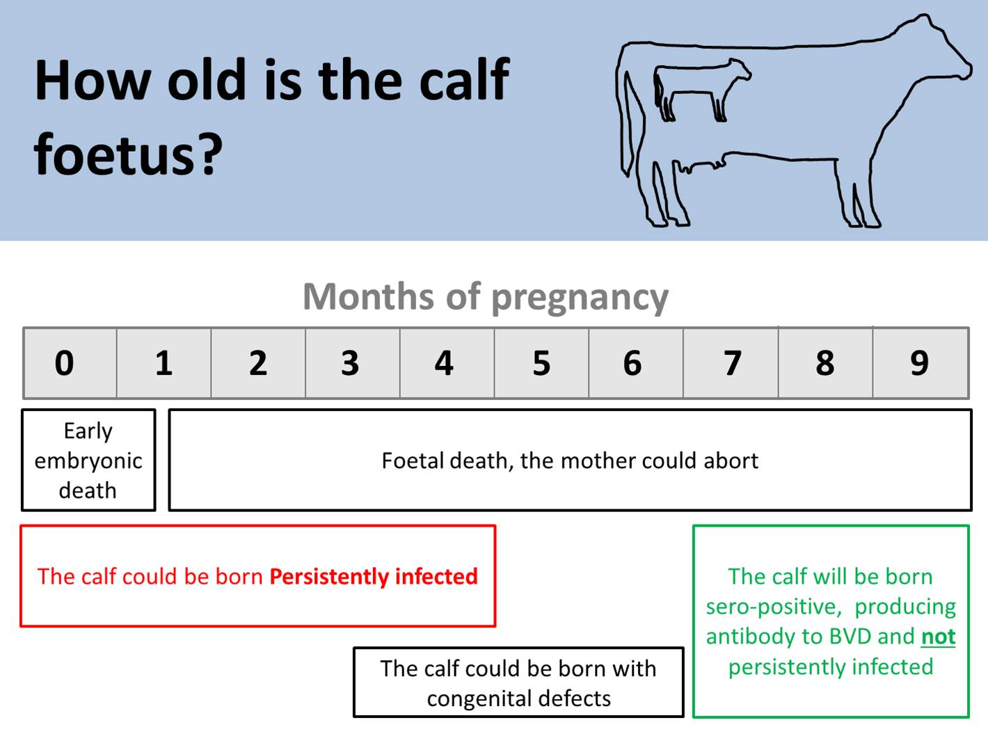 Calf Diarrhea Chart